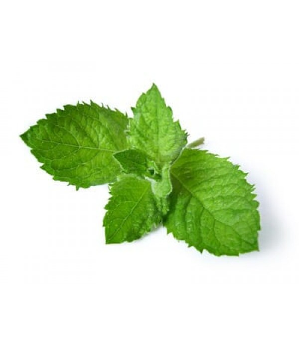 Aroma Xtra Mint
