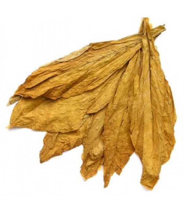 Aroma Shade